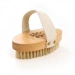 bestow body brush